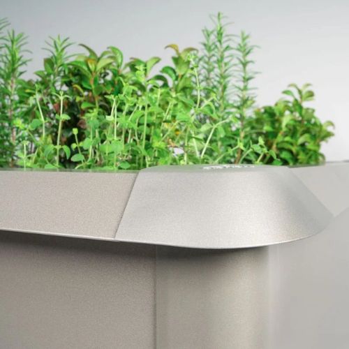 ZAŠČITA PRED POLŽI ZA KOVINSKO VRTNO GREDO BIOHORT 61 X 160 X4.2 CM 