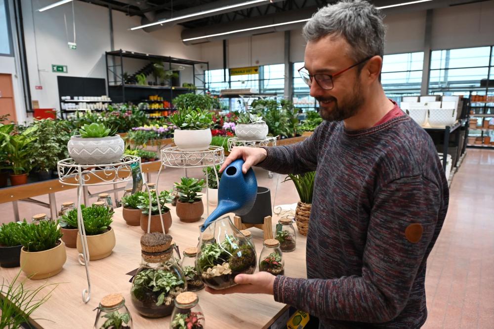 Rastlinski terarij zalivamo redko in zmerno.