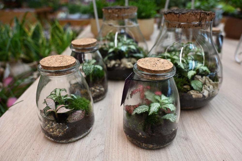 Obrezovanje rastlin in čiščenje stekla ohranja zdravje ekosistema.