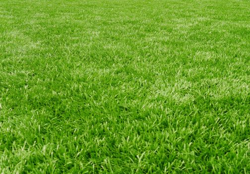 Kako do najlepše trate?