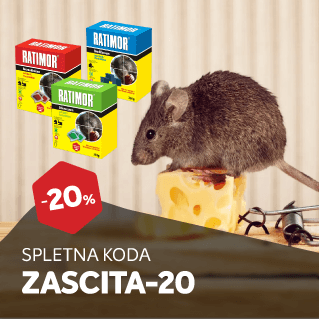 AKCIJA: Nazaj v šolo in službo