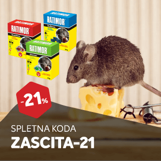 AKCIJA: Nazaj v šolo in službo