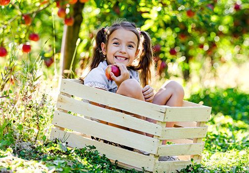 5 ključnih korakov za ekološko vzgojo sadnega drevja