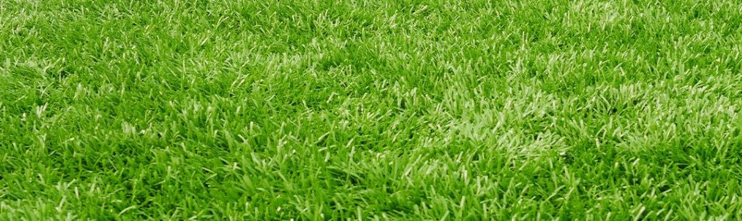 7 nujnih opravil za najlepšo trato