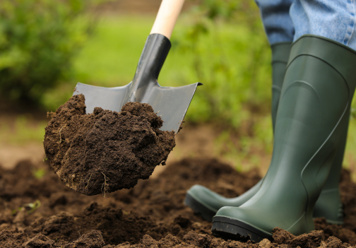 Najboljša zemlja za vaš vrt in rastline: Kaj morate vedeti