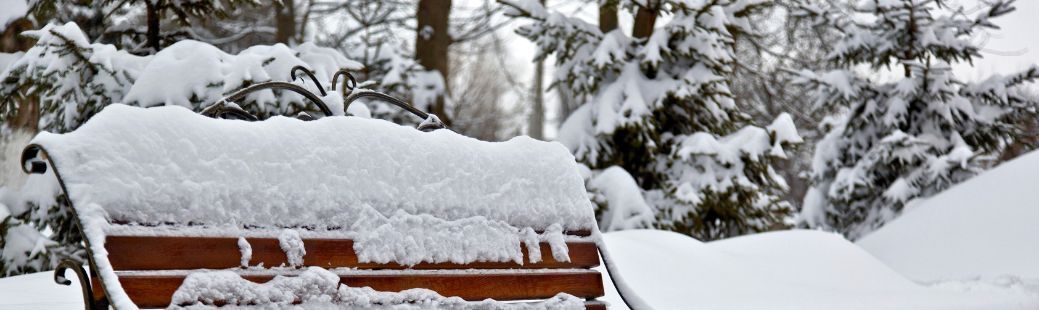 Priprava vrta na zimo – kako zaščititi rastline, tla in vrtno opremo