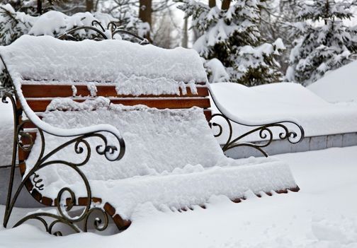 Priprava vrta na zimo – kako zaščititi rastline, tla in vrtno opremo