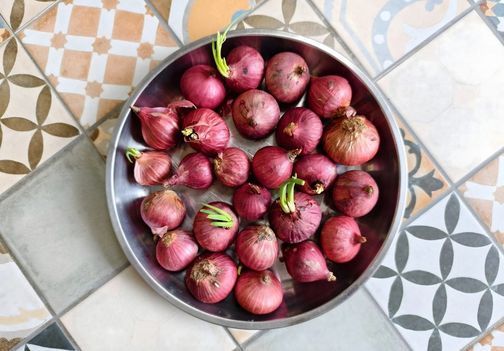 Šalotka: kako jo uspešno vzgojiti in s čim jo kombinirati na vrtu