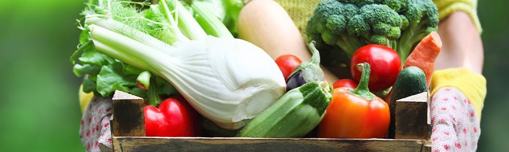 Celoletna vzgoja domače zelenjave