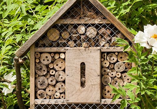 Izdelajte hotel za žuželke