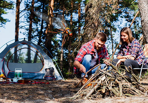 Kako se med kampiranjem zaščititi pred insekti