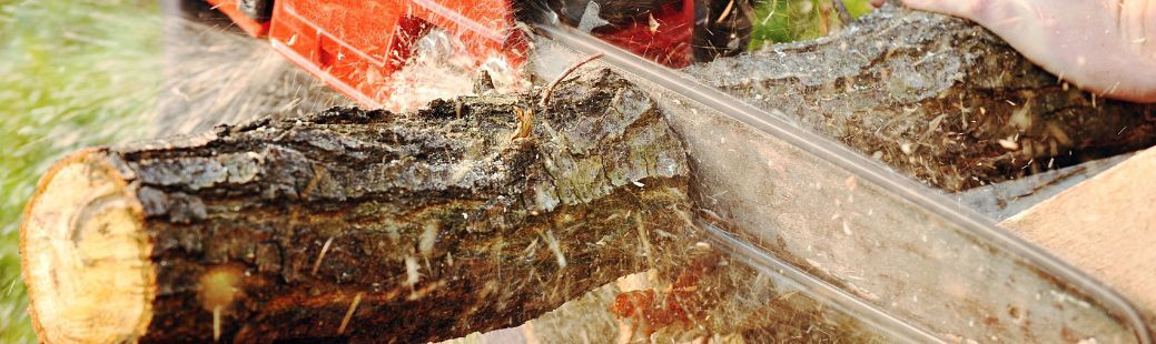 Motorne žage: kako izbrati pravo, jo varno uporabljati in vzdrževati