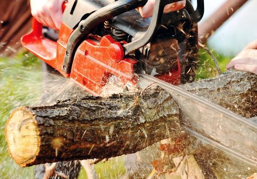 Motorne žage: kako izbrati pravo, jo varno uporabljati in vzdrževati