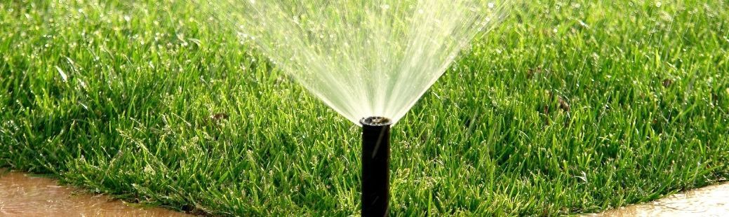 Namakalni sistemi za vsak vrt – kako izbrati pravega?