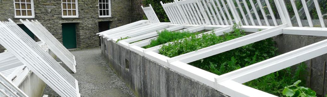  Namigi za zimsko zaščito rastlin