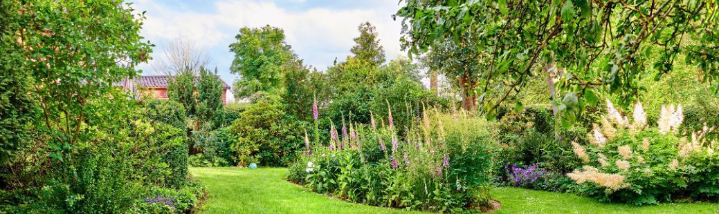 Okrasna drevesa: kako izbrati, posaditi in negovati za lep vrt skozi leto
