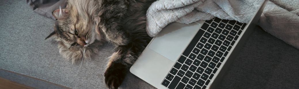 Prenosni računalniki – kdaj je pravi čas za zamenjavo?