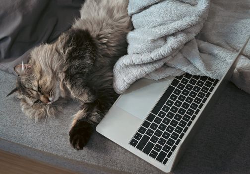 Prenosni računalniki – kdaj je pravi čas za zamenjavo?