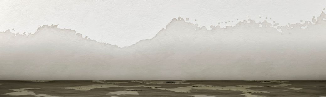  Sanacija notranjih sten po poplavah