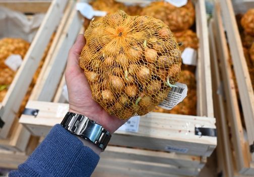 Spomladansko sajenje čebule