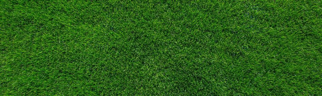 Kako do najlepše trate?