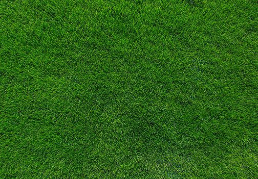 Kako do najlepše trate?