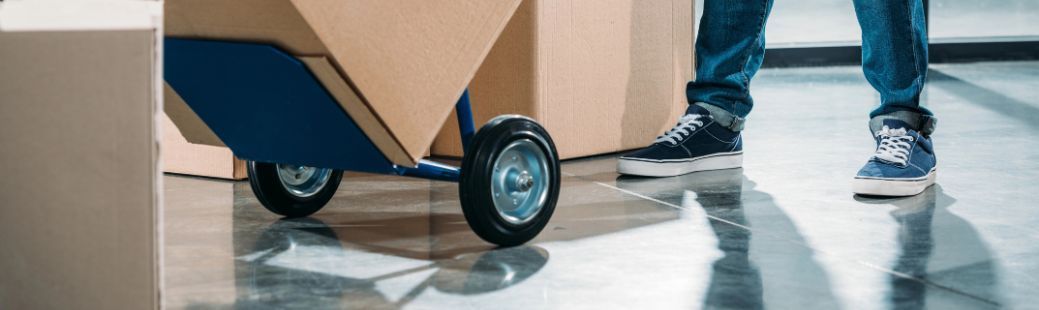 Transportni vozički – pomoč pri vsakem premiku