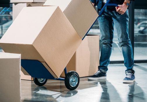 Transportni vozički – pomoč pri vsakem premiku