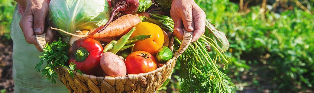 Vzgoja domačih in zdravih vrtnih pridelkov