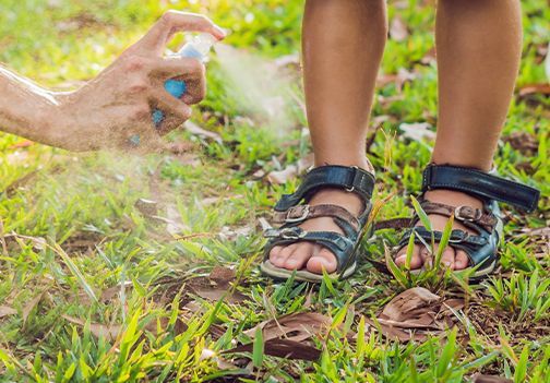 Učinkovita zaščita pred klopi