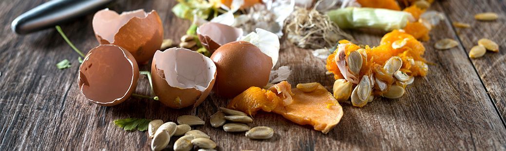 Zbiranje organskih odpadkov z bio posodami in koši
