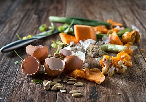 Zbiranje organskih odpadkov z bio posodami in koši