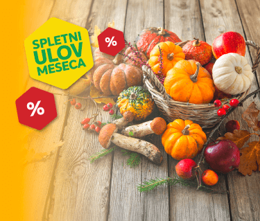 SPLETNI ULOV MESECA