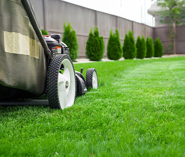 Začnite sezono z novo kosilnico