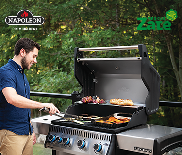 MERKURJEVI MOJSTRI ŽARA