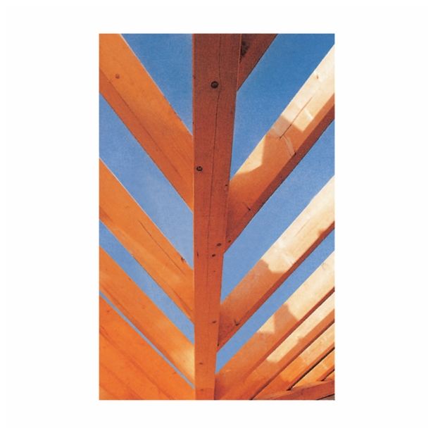 SUROVI MORAL ZA OPAŽENJE 10X12X400 CM,SMREKA/JELKA NEKONSTRUKCIJSKI