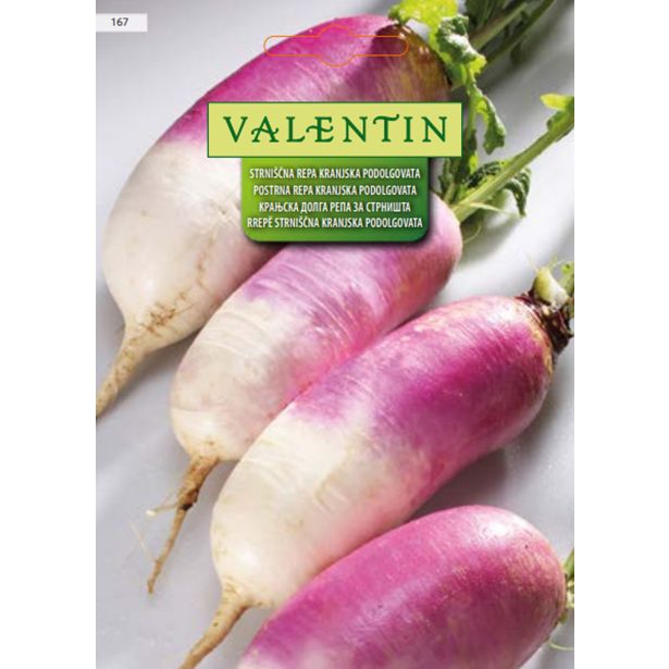 KORENOVKA VALENTIN 167 REPA STRAN KRANJSKA PODOLGOVATA