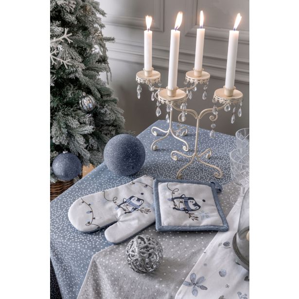 NOVOLETNI SET PRIJEMALKE IN ROKAVICE