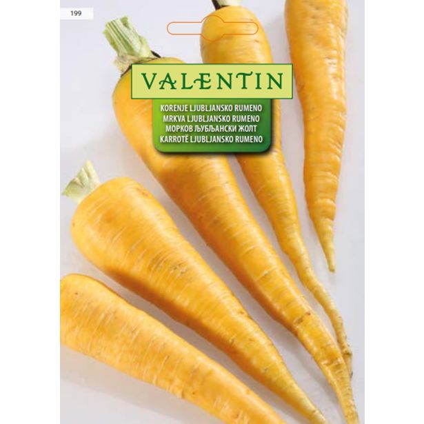 KORENOVKA VALENTIN 199 KORENJE LJUBLJANSKO RUMENO