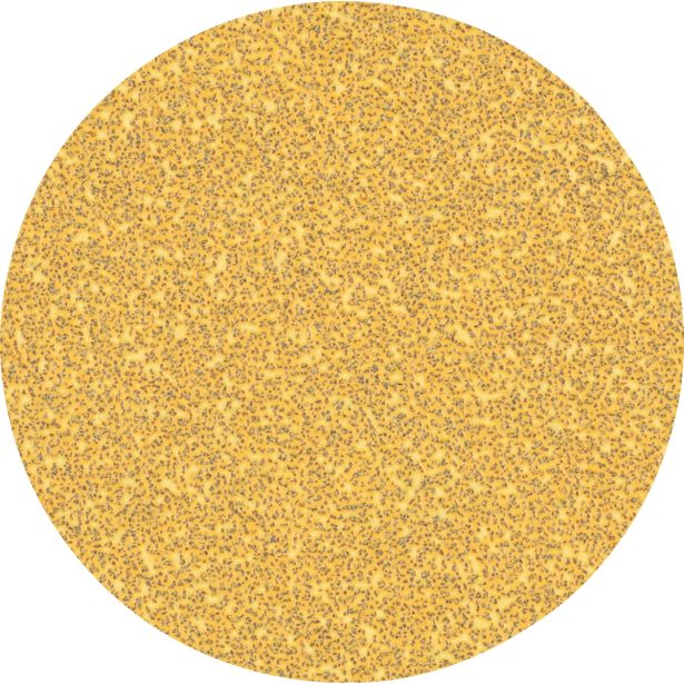 SAMOPRITRILNI BRUSNI DISK BOSCH 225MM BREZ LUKENJ G40 EXC470 ZA STENE