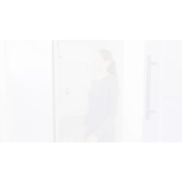 ROČNI AKUMUL. SESALNIK BISSEL 2278N PET HAIR ERASER