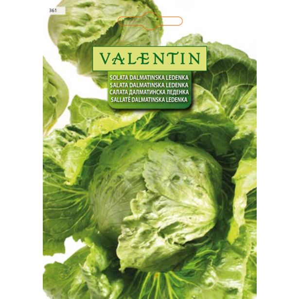 LISTNA ZELENJAVA VALENTIN 361 SOLATA DALMATINSKA LEDENKA