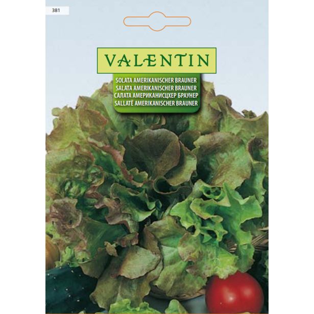 LISTNA ZELENJAVA VALENTIN 381 SOLATA AMERIKANISCHER BRAUNER