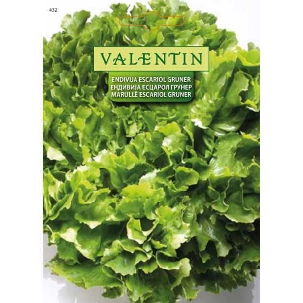 LISTNA ZELENJAVA VALENTIN 432 ENDIVIJA ESCARIOL GRUNER