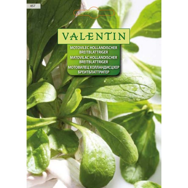 LISTNA ZELENJAVA VALENTIN 457 MOTOVILEC HOLLANDISCHER BREITBLATT.