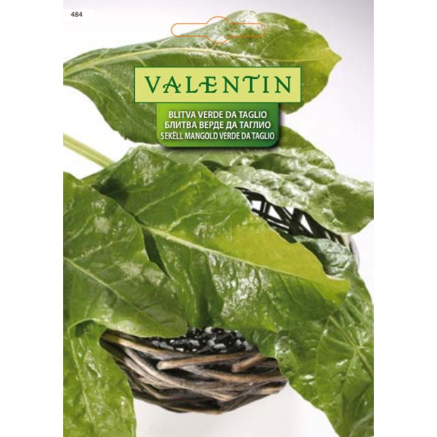 LISTNA ZELENJAVA VALENTIN 484 MANGOLD VERDE DA TAGLIO