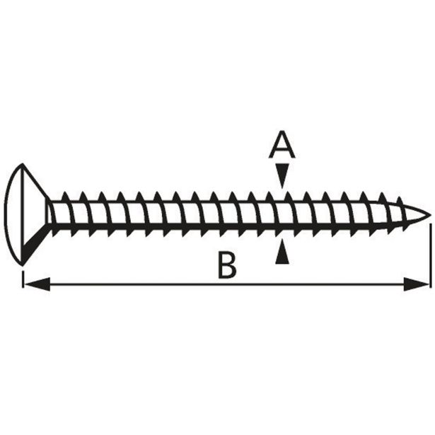VIJAK Z LEČASTO GLAVO 4.0X20 A2G PZ2 FT V ZAVITKU JE 15 KOS