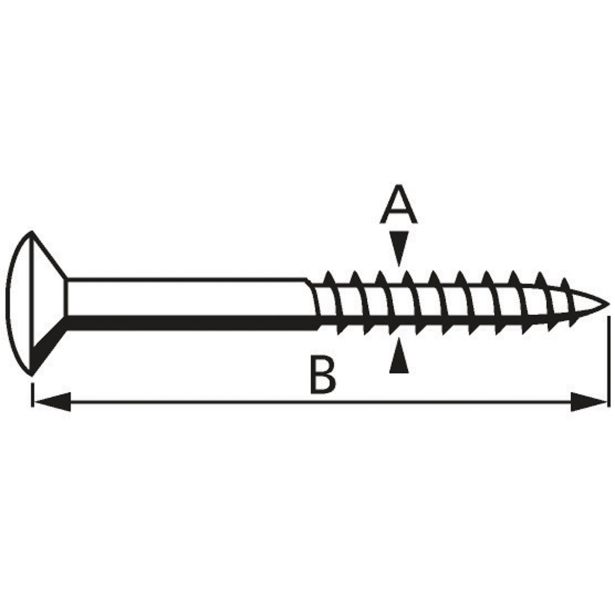 VIJAK Z LEČASTO GLAVO 4.0X30 A2F PZ2 FT V ZAVITKU JE 12 KOS