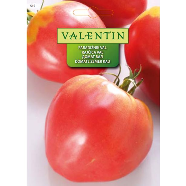PLODOVKA VALENTIN 515 PARADIŽNIK VAL