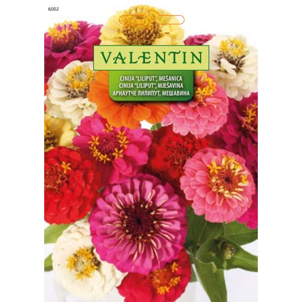 CINIJA VALENTIN 6002 DROBNOCVETNA MEŠANICA